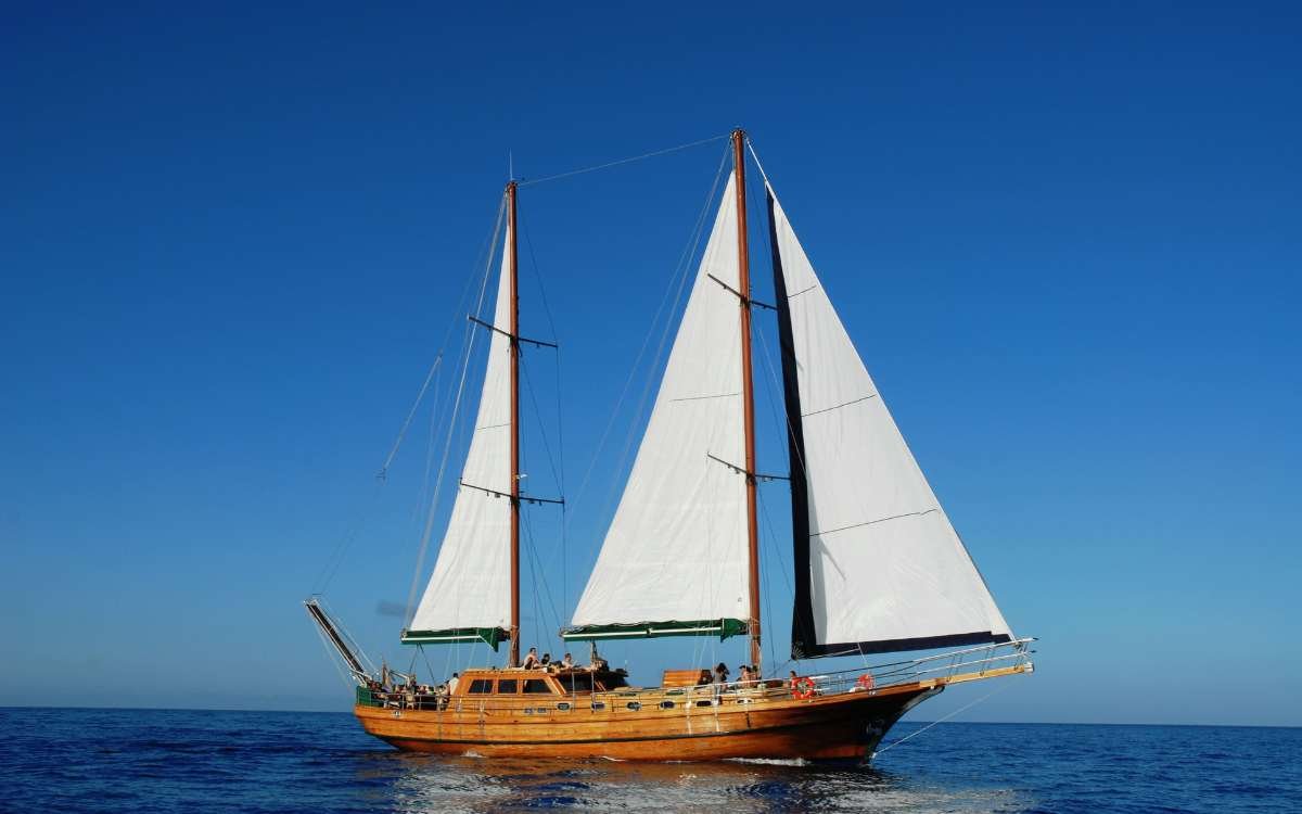 Fuerteventura sunset cruise coastline